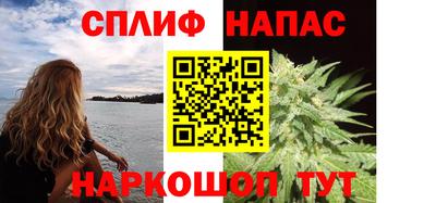 гидра Бийск