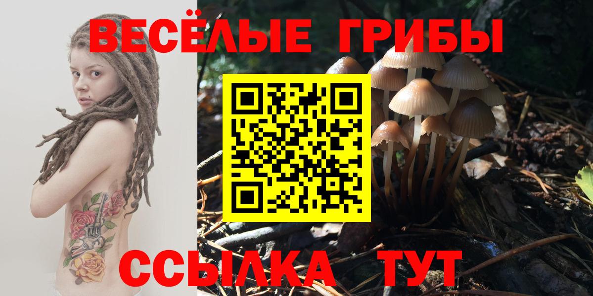 Бугульма  Псилоцибиновые грибы Cubensis  Вход с VPN 